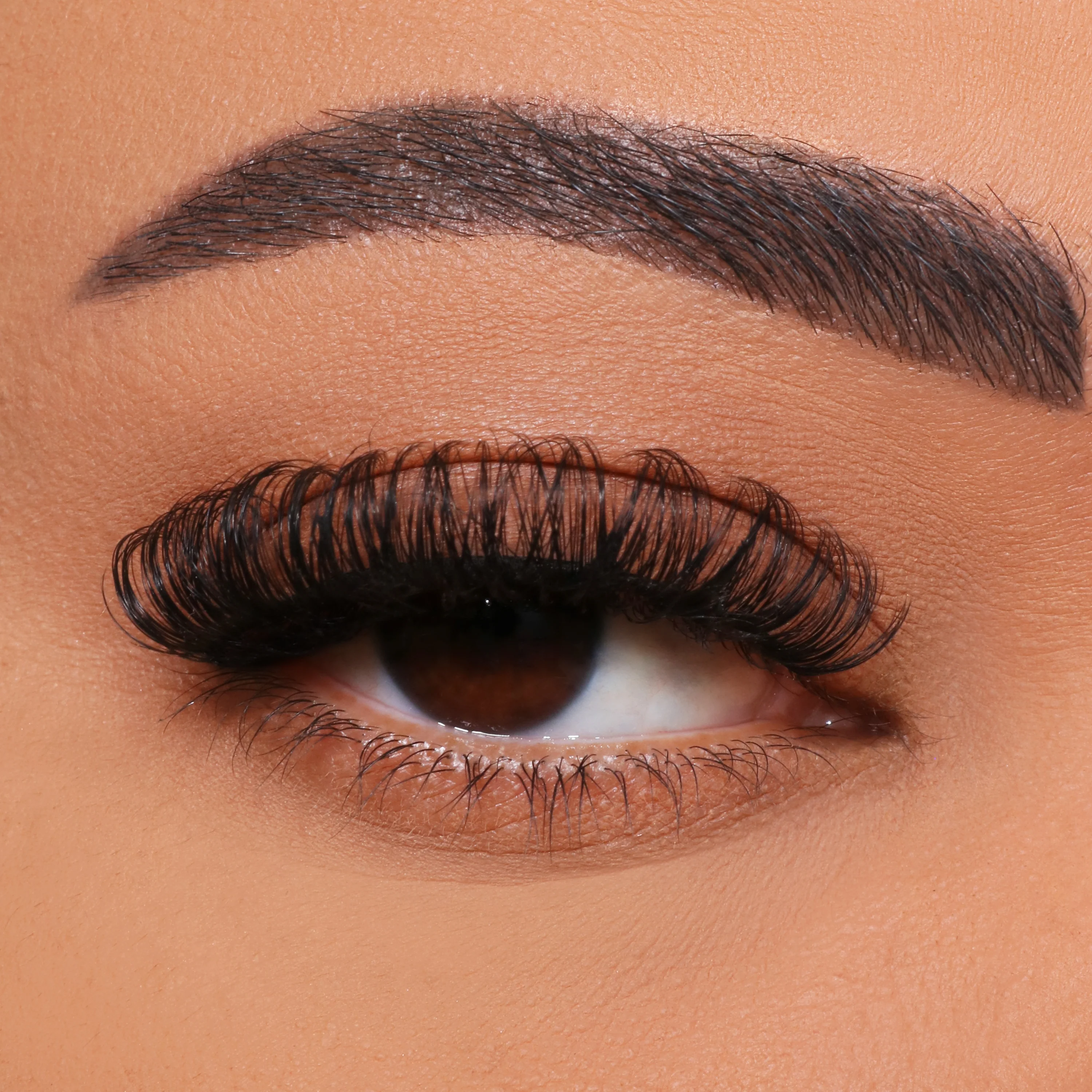 Hoe om DIY multi-bloeierige wimpers te ent?